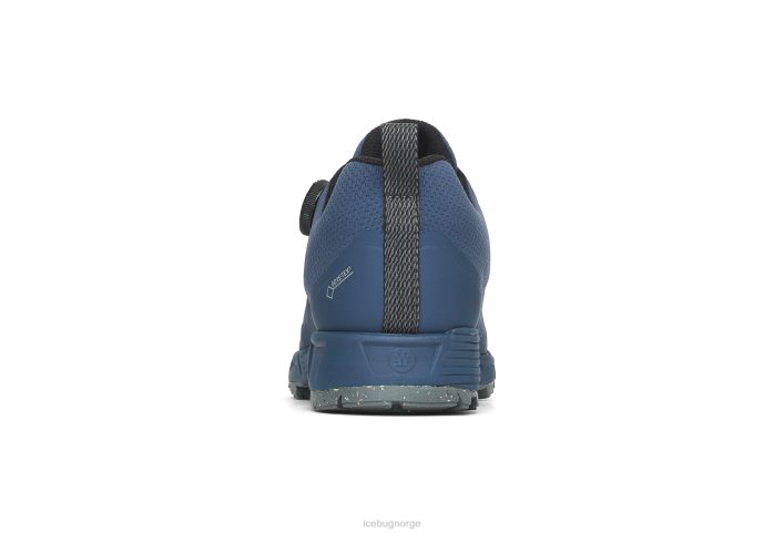 rover rb9x gtx blåbær fottøy 28ZN49 Icebug kvinner