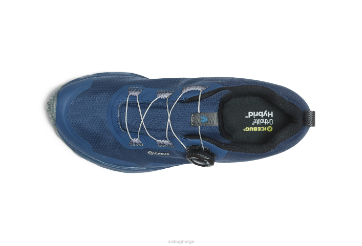rover rb9x gtx blåbær fottøy 28ZN49 Icebug kvinner