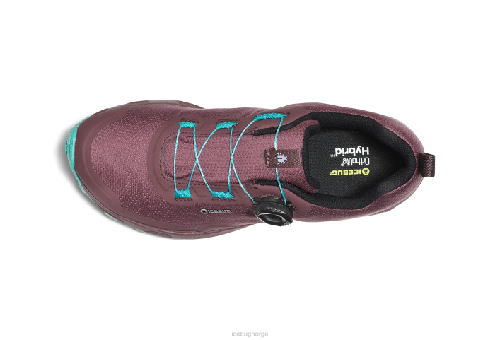 rover rb9x gtx støv plomme/mynte fottøy 28ZN15 Icebug kvinner