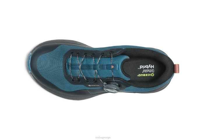 dis rb9x gtx petroleum/kastanje fottøy 28ZN84 Icebug menn