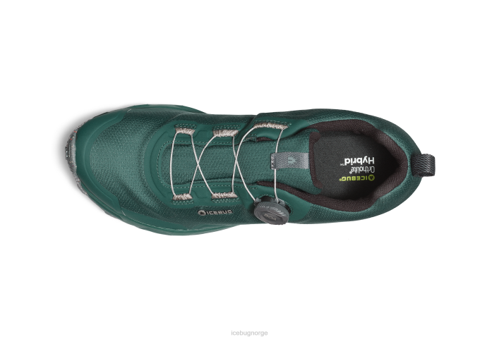 rover rb9x gtx blågrønn/stein fottøy 28ZN83 Icebug menn