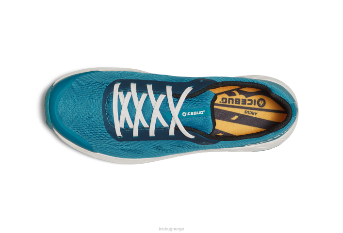 arcus rb9x aqua fottøy 28ZN65 Icebug menn