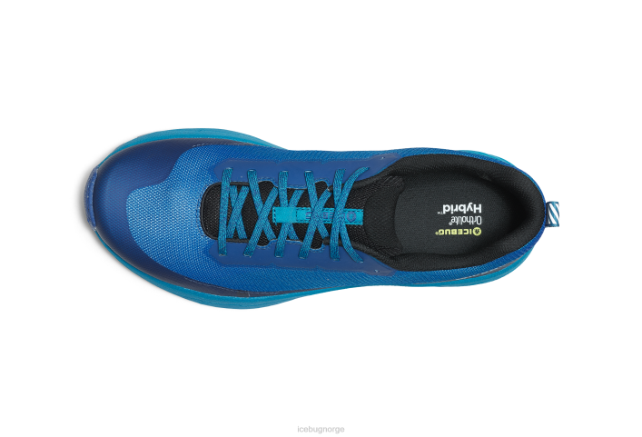 horisont rb9x aqua/blått fottøy 28ZN61 Icebug menn